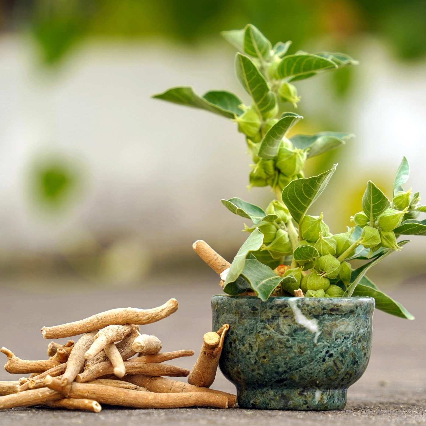 Ceremoniell Kakao – med Ashwagandha & Maca (100g)