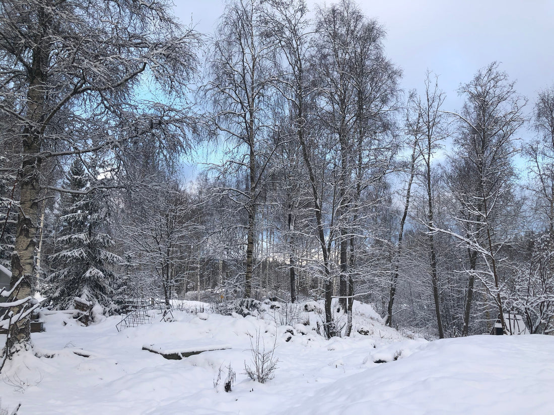 Skiftet & Yule-tiden