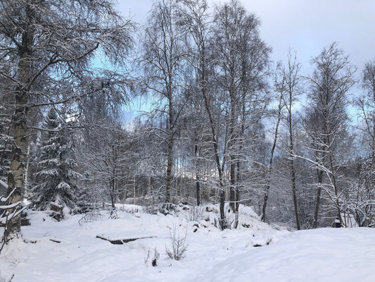 Skiftet & Yule-tiden