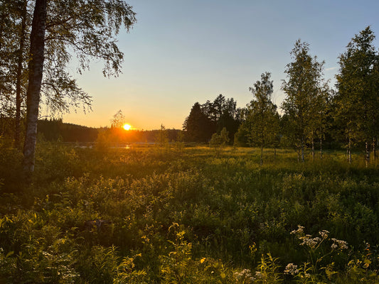 Sommarens Energier & Lithas Glöd