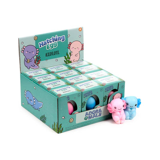 Kläckande ägg med axolotl