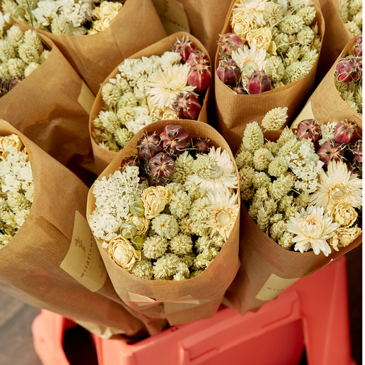 Torkade blommor - Market More - Natural