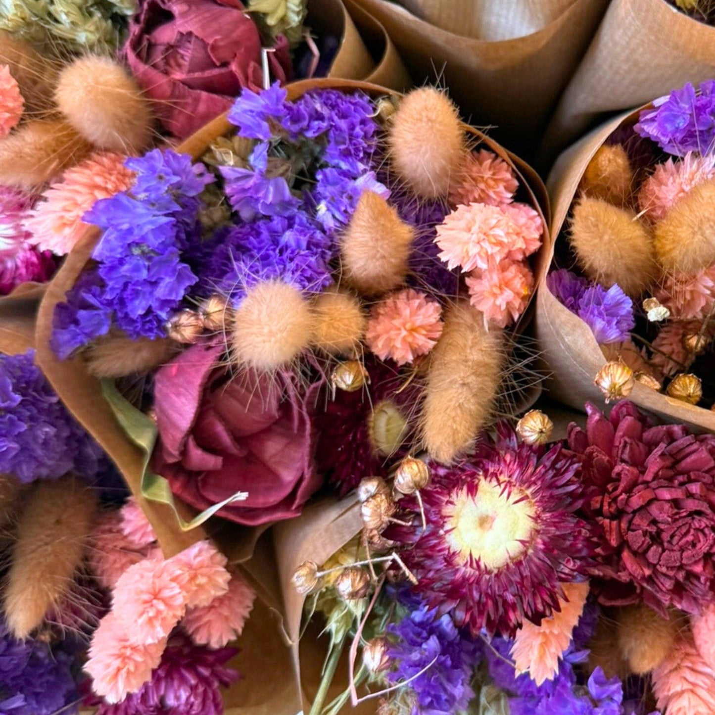 Torkade blommor - Bourgogne