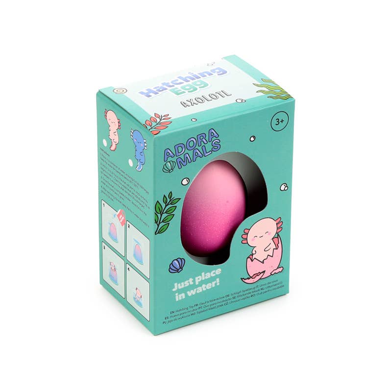 Kläckande ägg med axolotl