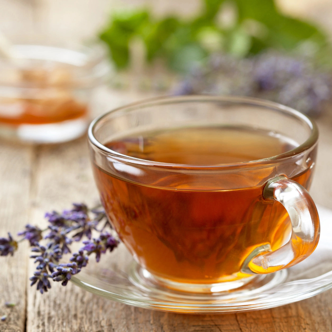 Lavender Blueberry Örtte