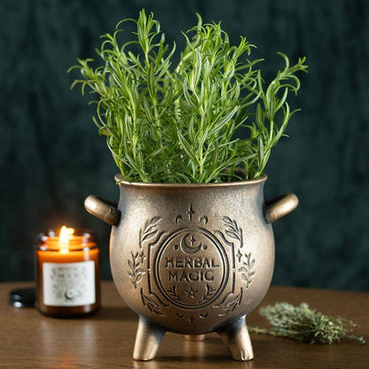 Blomkruka – Häxkittel i Terrakotta (Green Witch)