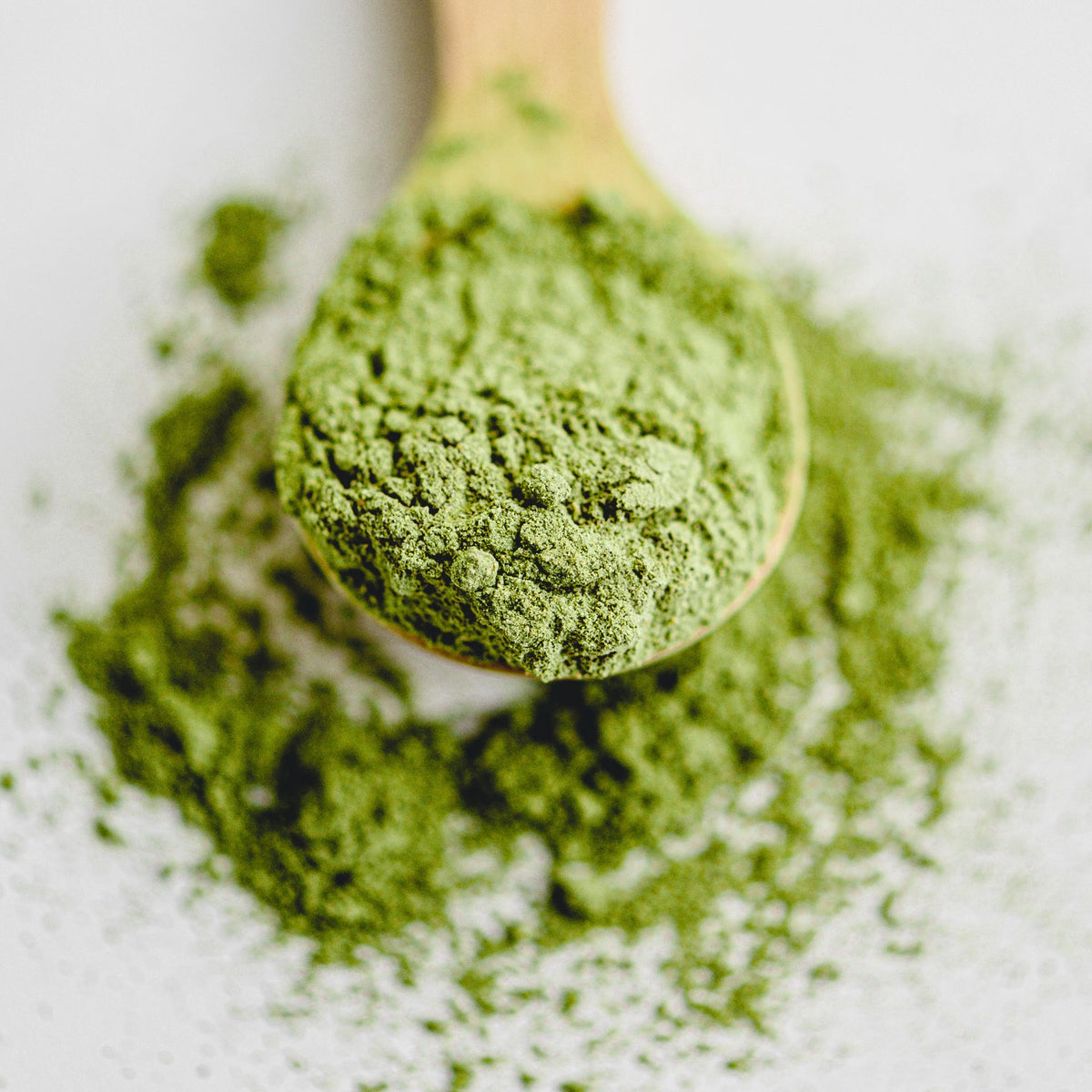 Matcha för latte och matlagning – 1 kg