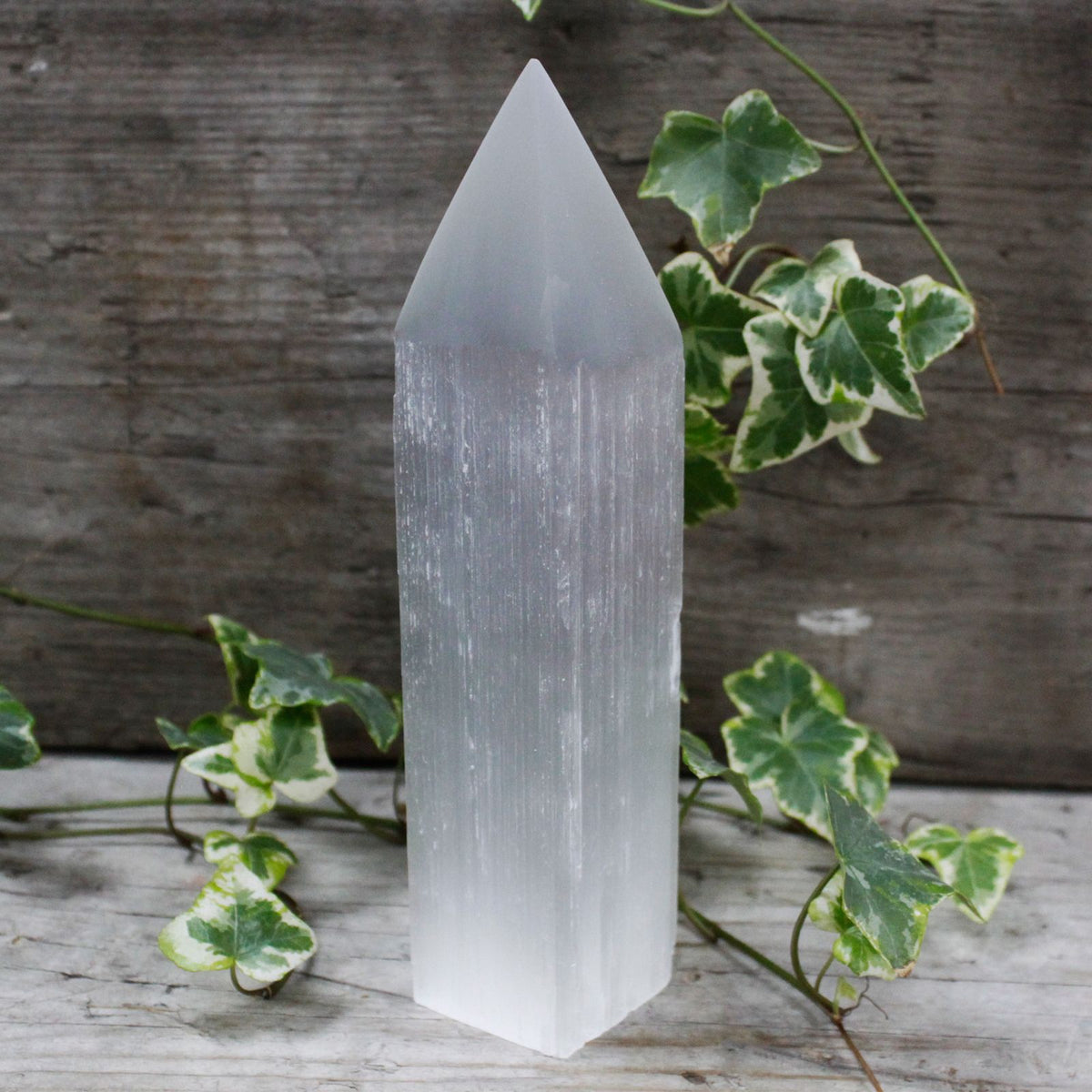 Selenittorn – pennspets, ca 20 cm