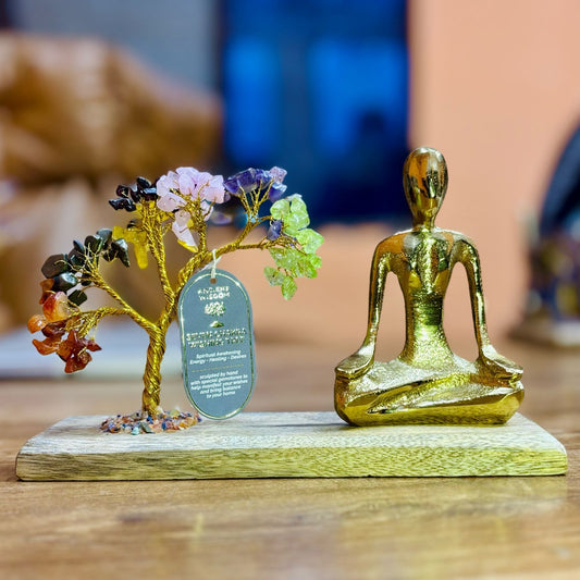 Yoga-kristallträdgård – sju chakra & mudra, ca 100 stenar
