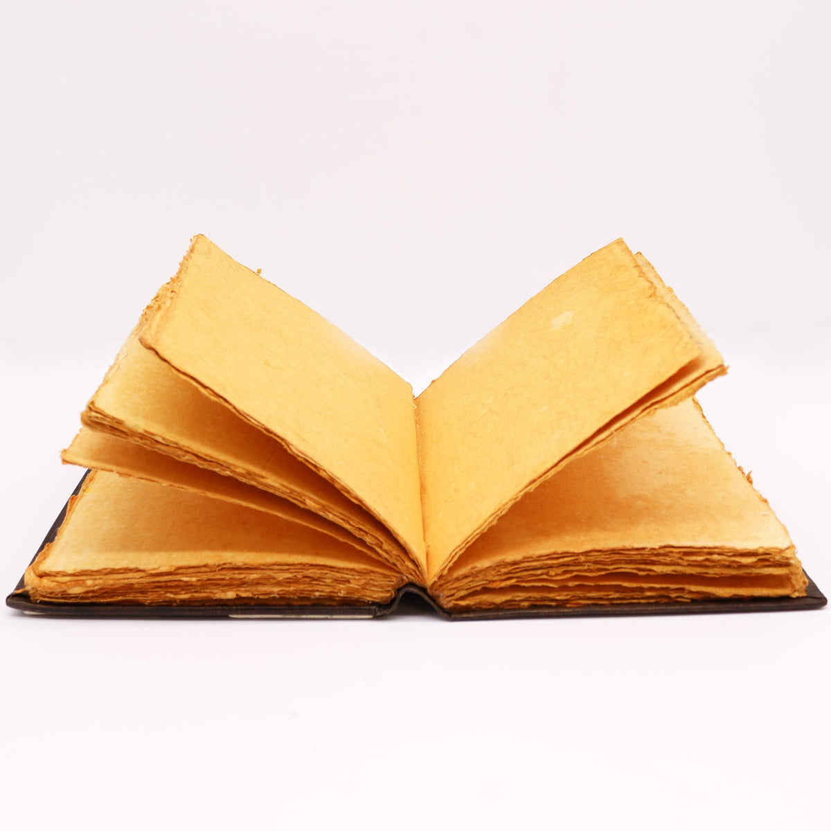 Stor läderjournal – Ros, brun