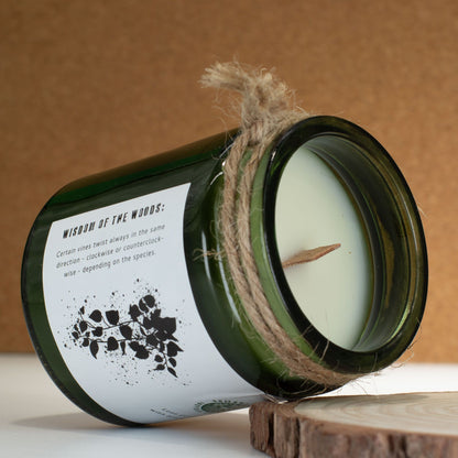 Greenman sojavaxljus med träveke – Twilight Vine