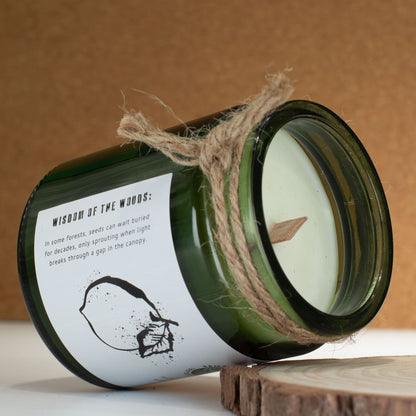 Greenman sojavaxljus med träveke – Forest Resin